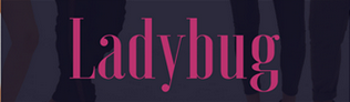 Ladybug store