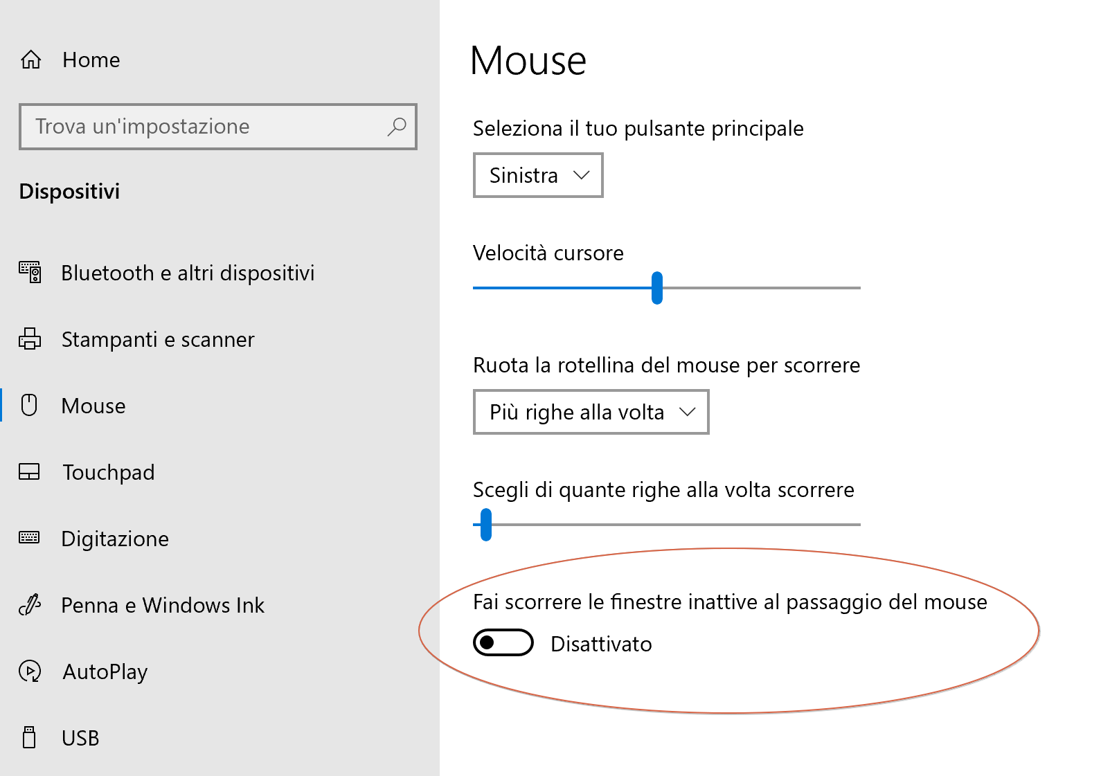 Opzione